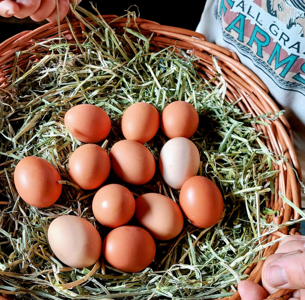 Egg Organic Pasture-Raised Eggs (1 Dozen)
